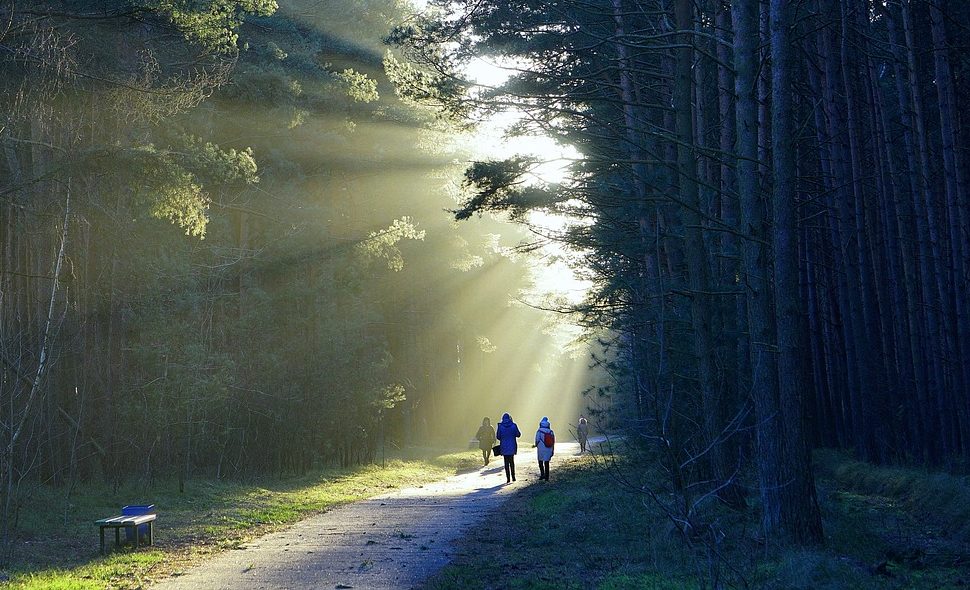 Theology That Walks: Practical Theology for Growth and Change